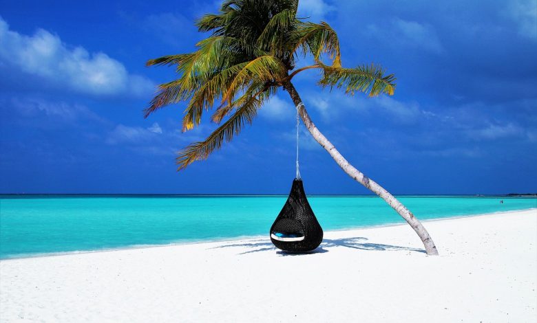 maldives palm tree hammock beach 3220702