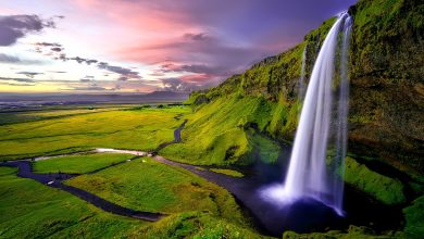 seljalandsfoss waterfalls iceland 1751463