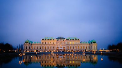 vienna night austria belvedere 674855
